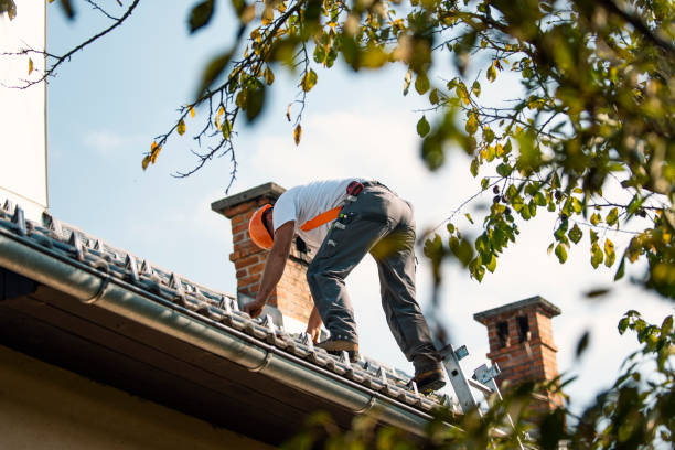 Best Roof Maintenance Services  in Lumberton, MS